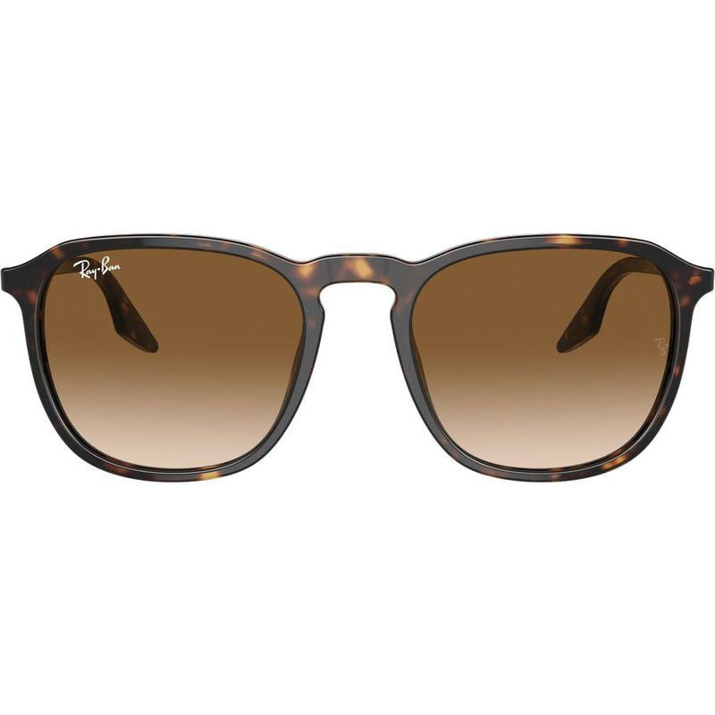 RB2203, Havana/Light Brown Gradient Glass Lenses 55 Eye Size
