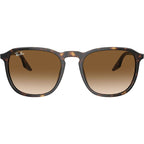 RB2203, Havana/Light Brown Gradient Glass Lenses 52 Eye Size