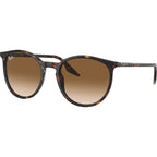 RB2204, Havana/Light Brown Gradient Glass Lenses 51 Eye Size
