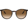 RB2204, Havana/Light Brown Gradient Glass Lenses 51 Eye Size