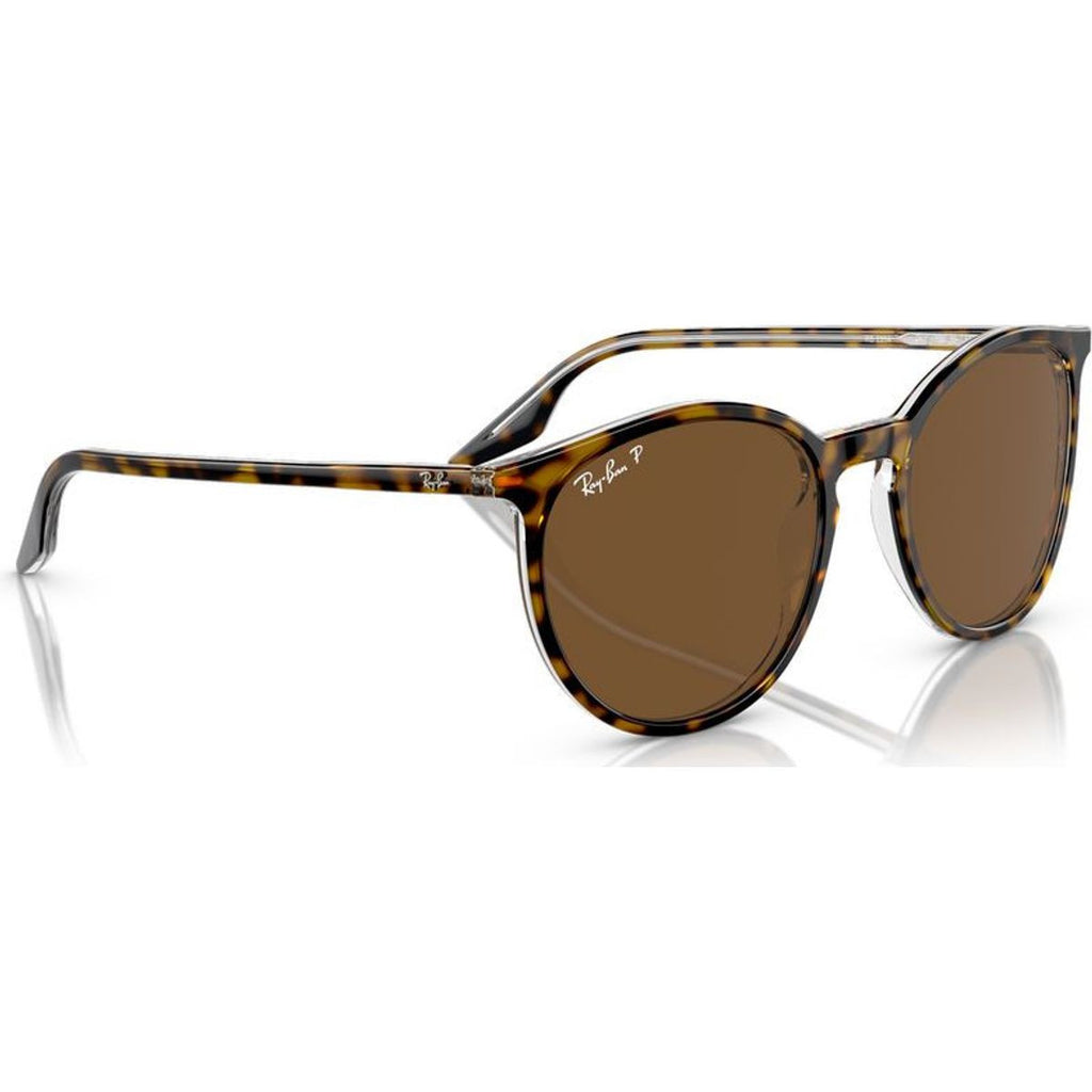 RB2204, Havana on Transparent/Brown Polarised Glass Lenses 51 Eye Size
