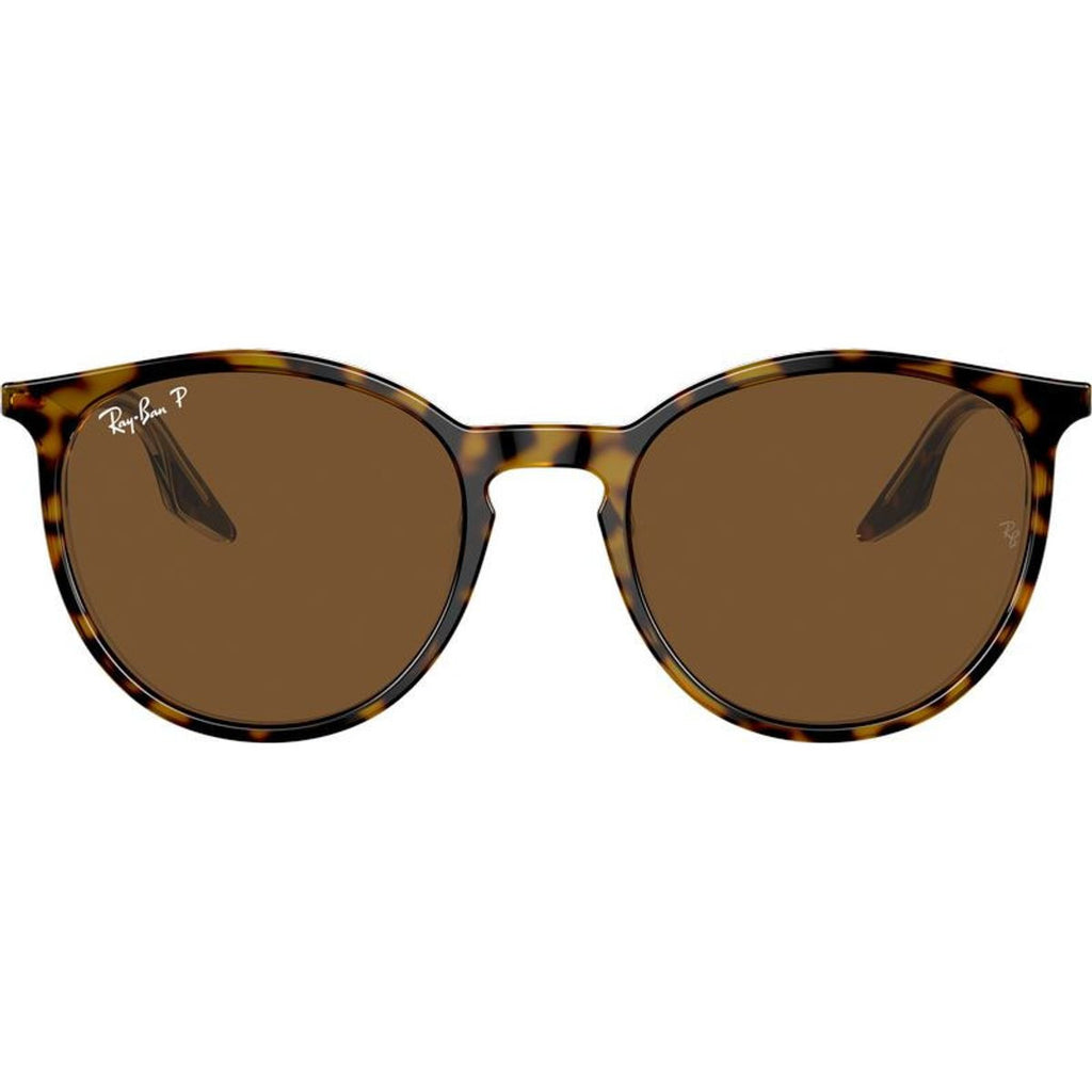 RB2204, Havana on Transparent/Brown Polarised Glass Lenses 51 Eye Size