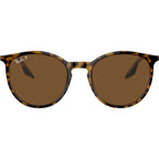 RB2204, Havana on Transparent/Brown Polarised Glass Lenses 51 Eye Size