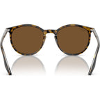 RB2204, Havana on Transparent/Brown Polarised Glass Lenses 51 Eye Size