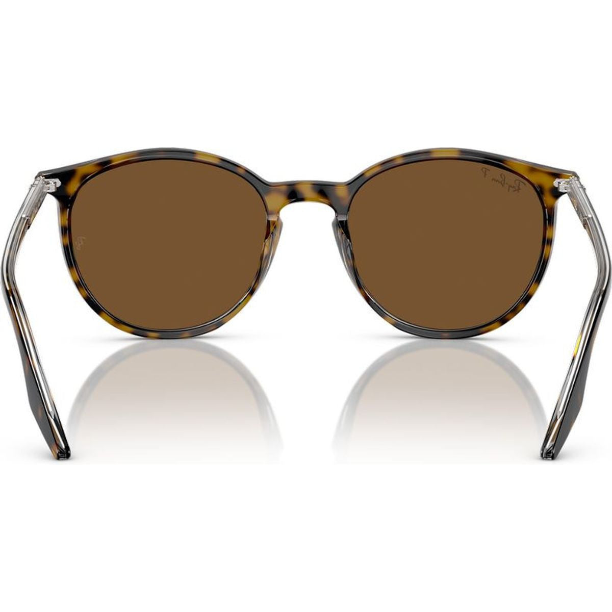 RB2204, Havana on Transparent/Brown Polarised Glass Lenses 51 Eye Size