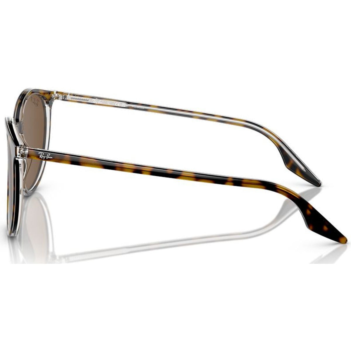 RB2204, Havana on Transparent/Brown Polarised Glass Lenses 51 Eye Size