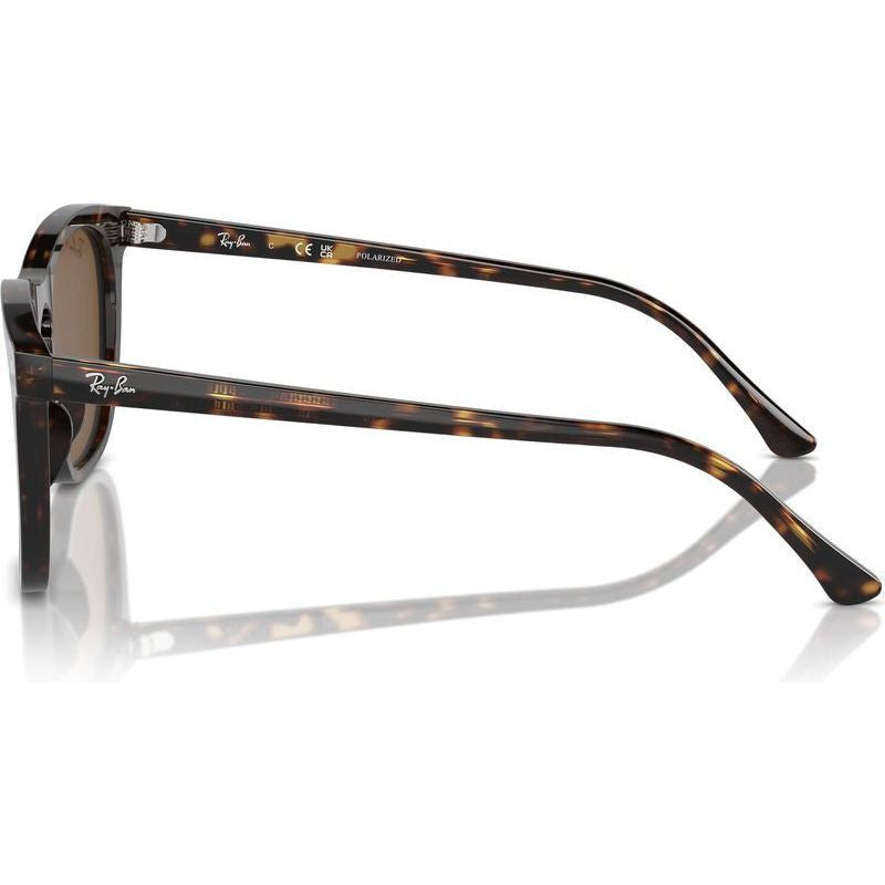 RB2210F, Havana/Brown Polarised Glass Lenses
