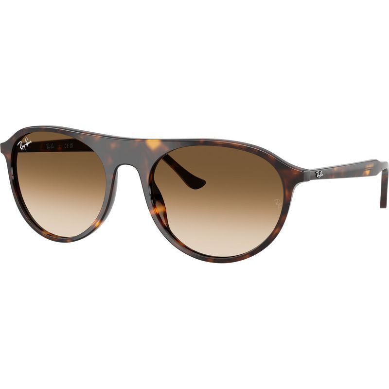 RB2215, Havana/Brown Clear Gradient Glass Lenses 56 Eye Size