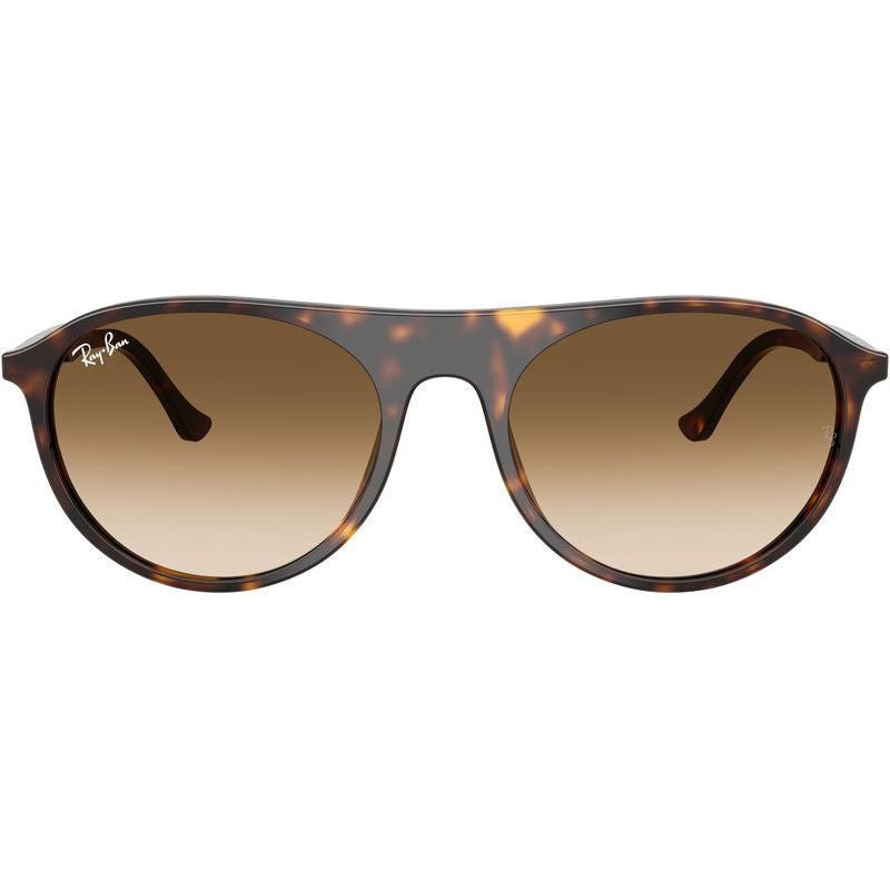 RB2215, Havana/Brown Clear Gradient Glass Lenses 56 Eye Size