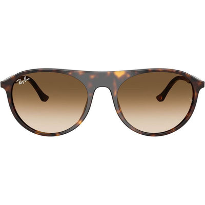 RB2215, Havana/Brown Clear Gradient Glass Lenses 56 Eye Size