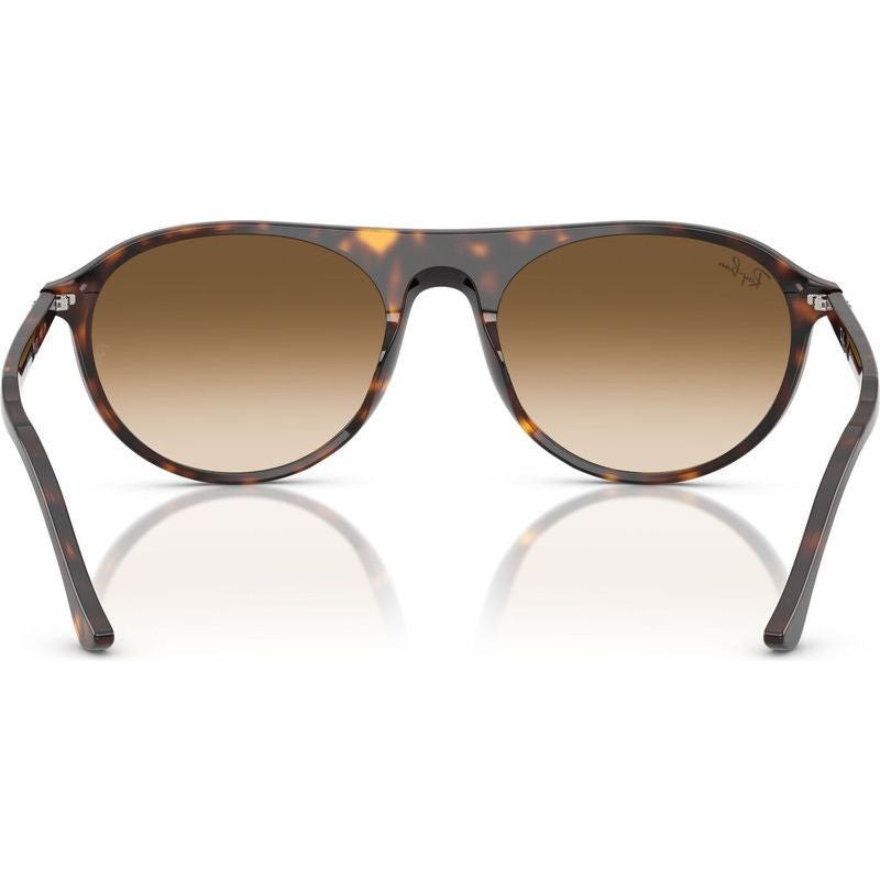 RB2215, Havana/Brown Clear Gradient Glass Lenses 56 Eye Size