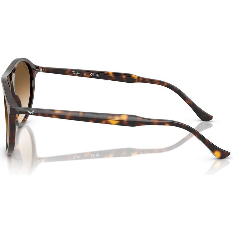 RB2215, Havana/Brown Clear Gradient Glass Lenses 56 Eye Size