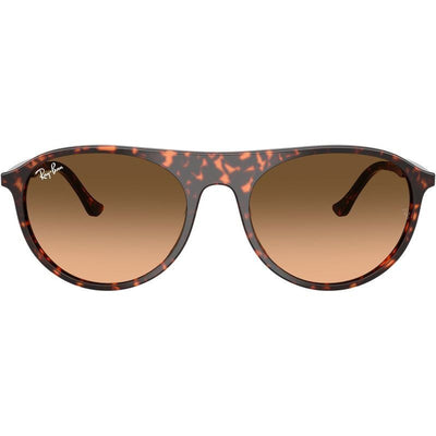 RB2215, Havana Red Tortoiseshell/Black Pink Gradient Glass Lenses 56 Eye Size