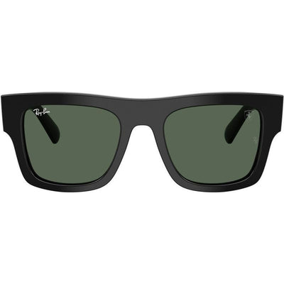 RB2217M, Black/Dark Green Lenses
