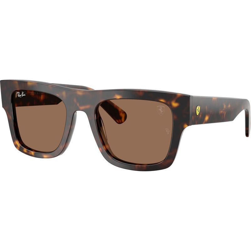 RB2217M, Havana/Dark Brown Lenses