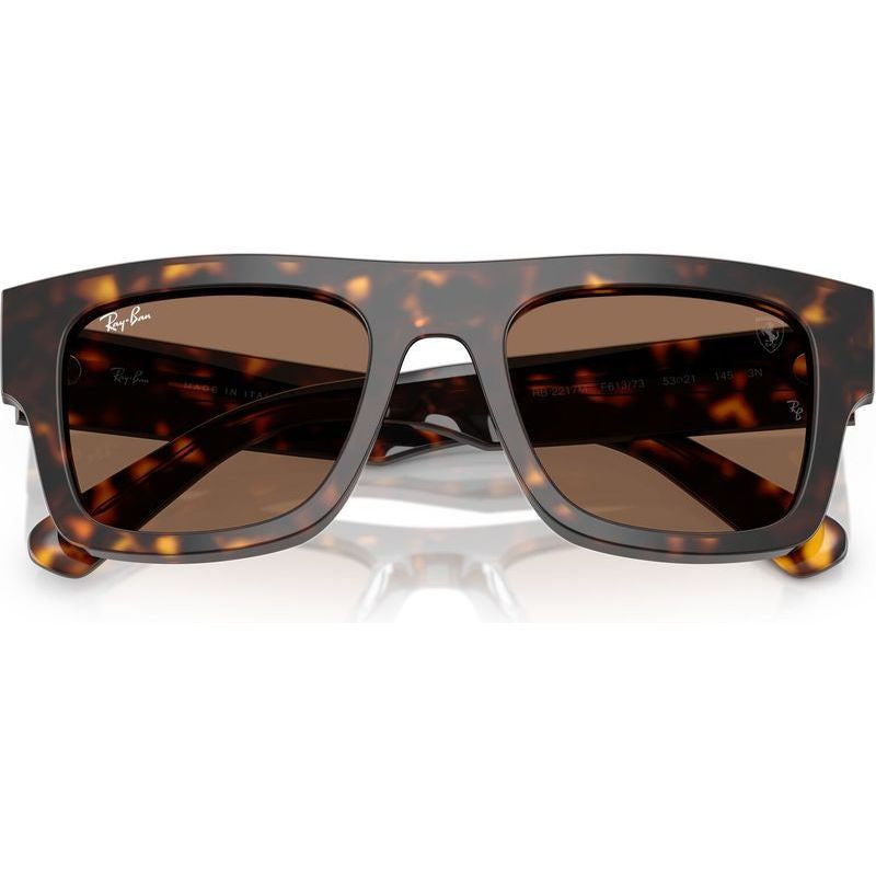RB2217M, Havana/Dark Brown Lenses