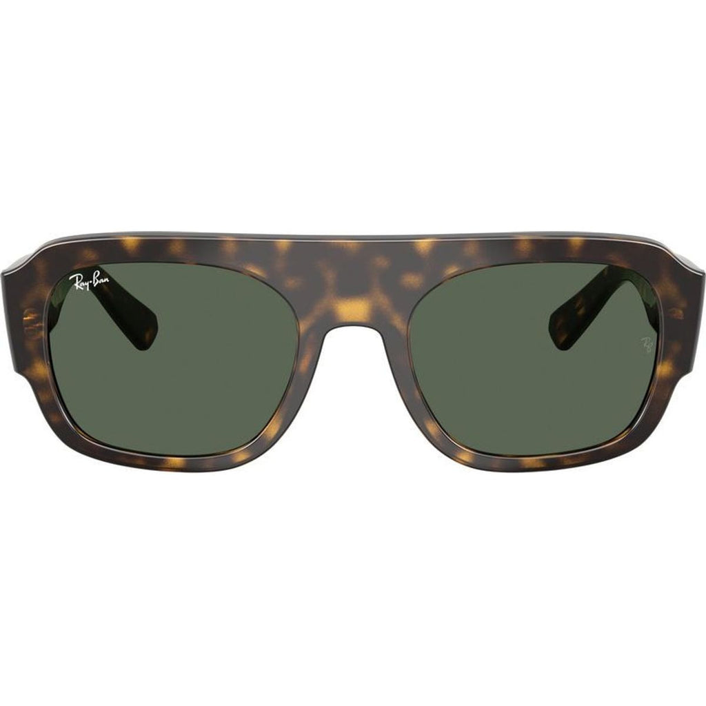 RB2218, Havana/Green Lenses