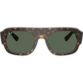 RB2218, Havana/Green Lenses