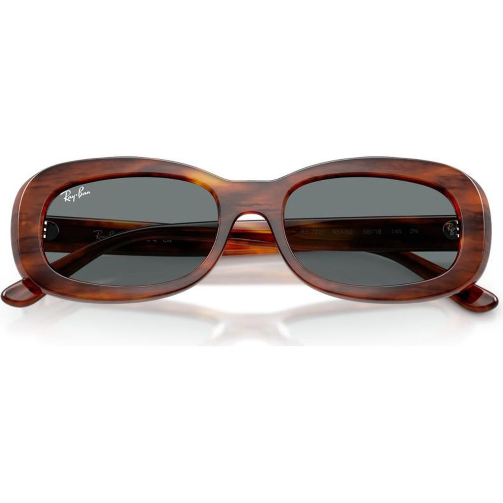 RB2221, Striped Havana/Blue Glass Lenses 53 Eye Size