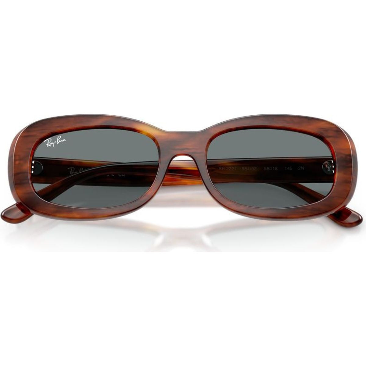 RB2221, Striped Havana/Blue Glass Lenses 53 Eye Size