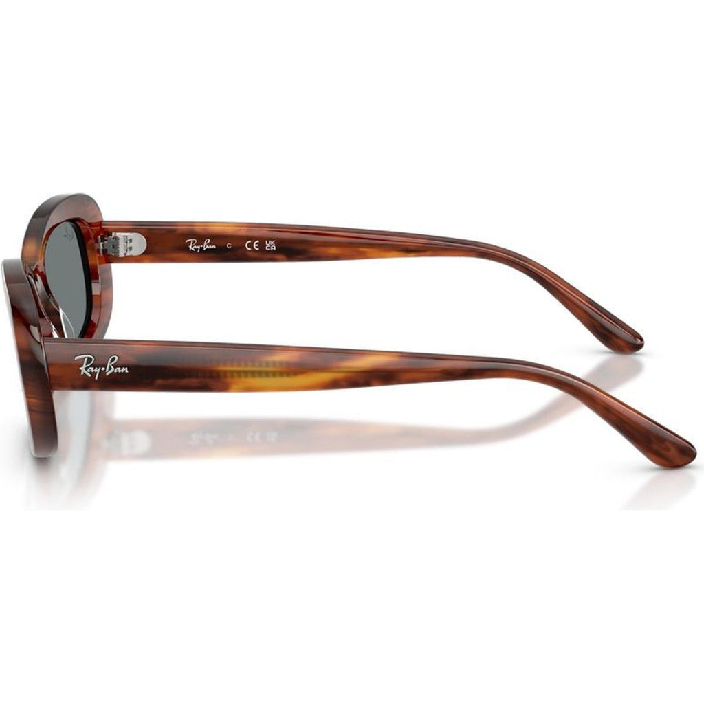 RB2221, Striped Havana/Blue Glass Lenses 53 Eye Size