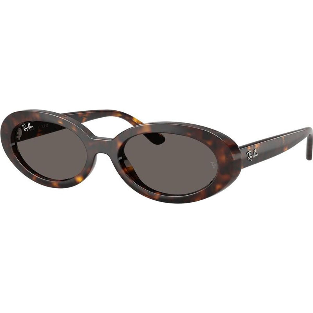 RB2223, Havana/Dark Grey Glass Lenses