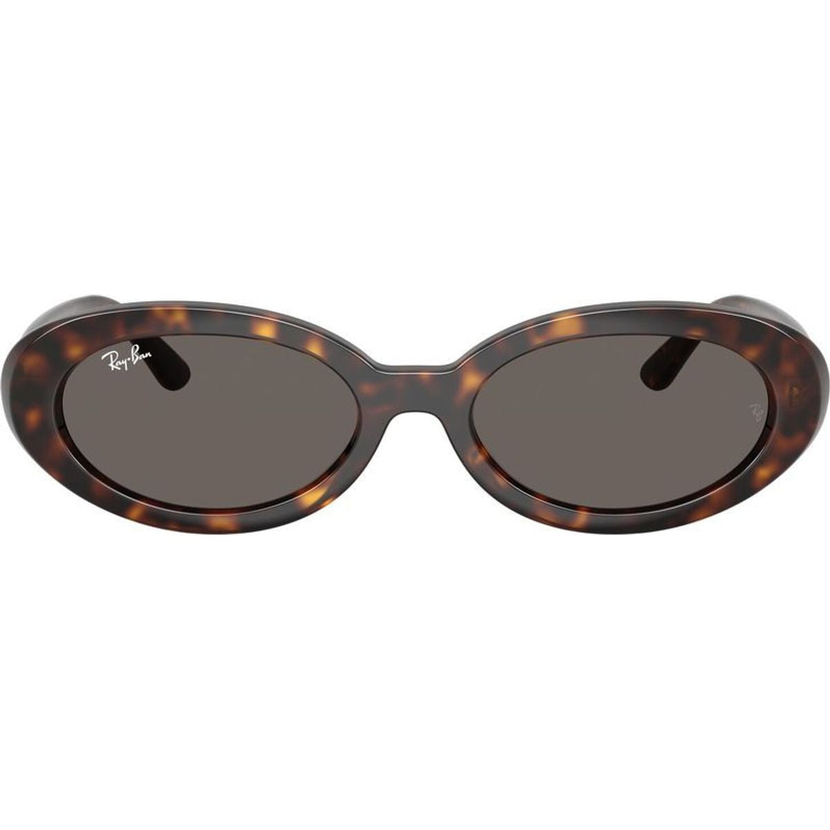 RB2223, Havana/Dark Grey Glass Lenses