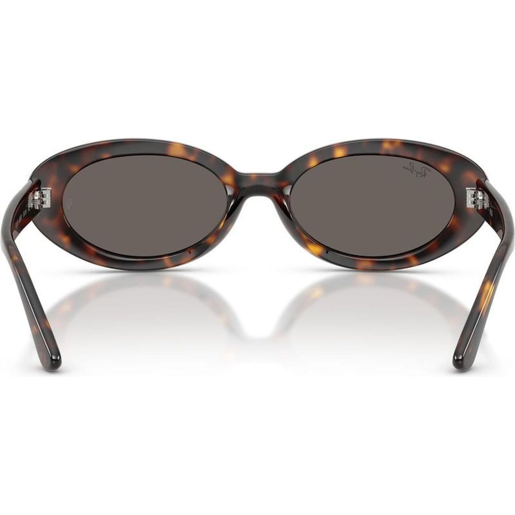 RB2223, Havana/Dark Grey Glass Lenses
