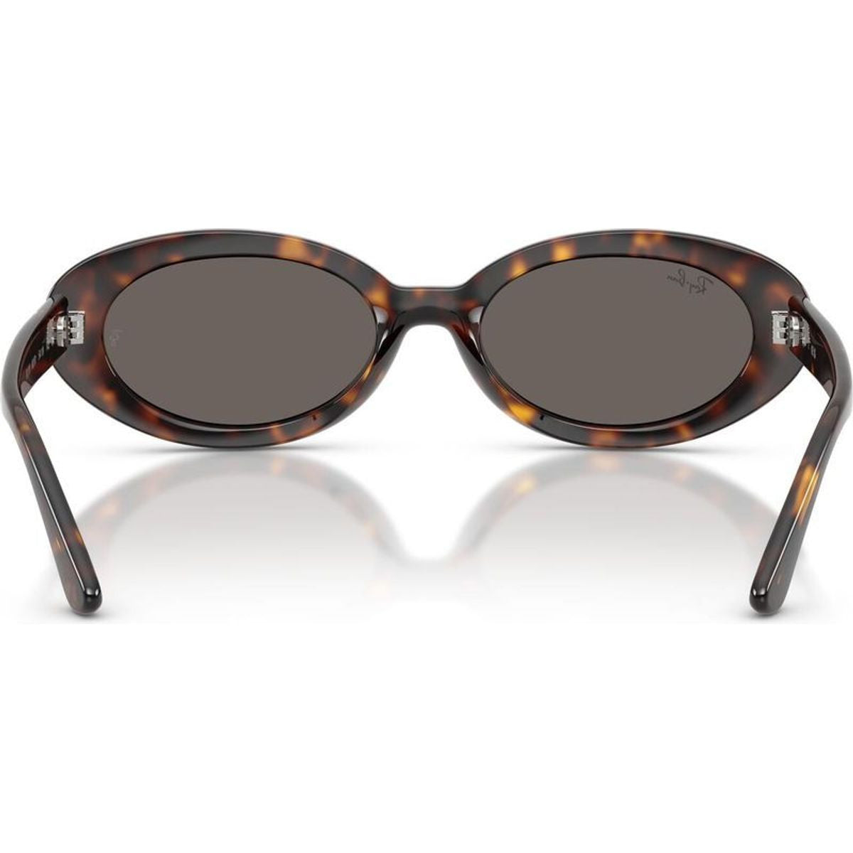 RB2223, Havana/Dark Grey Glass Lenses