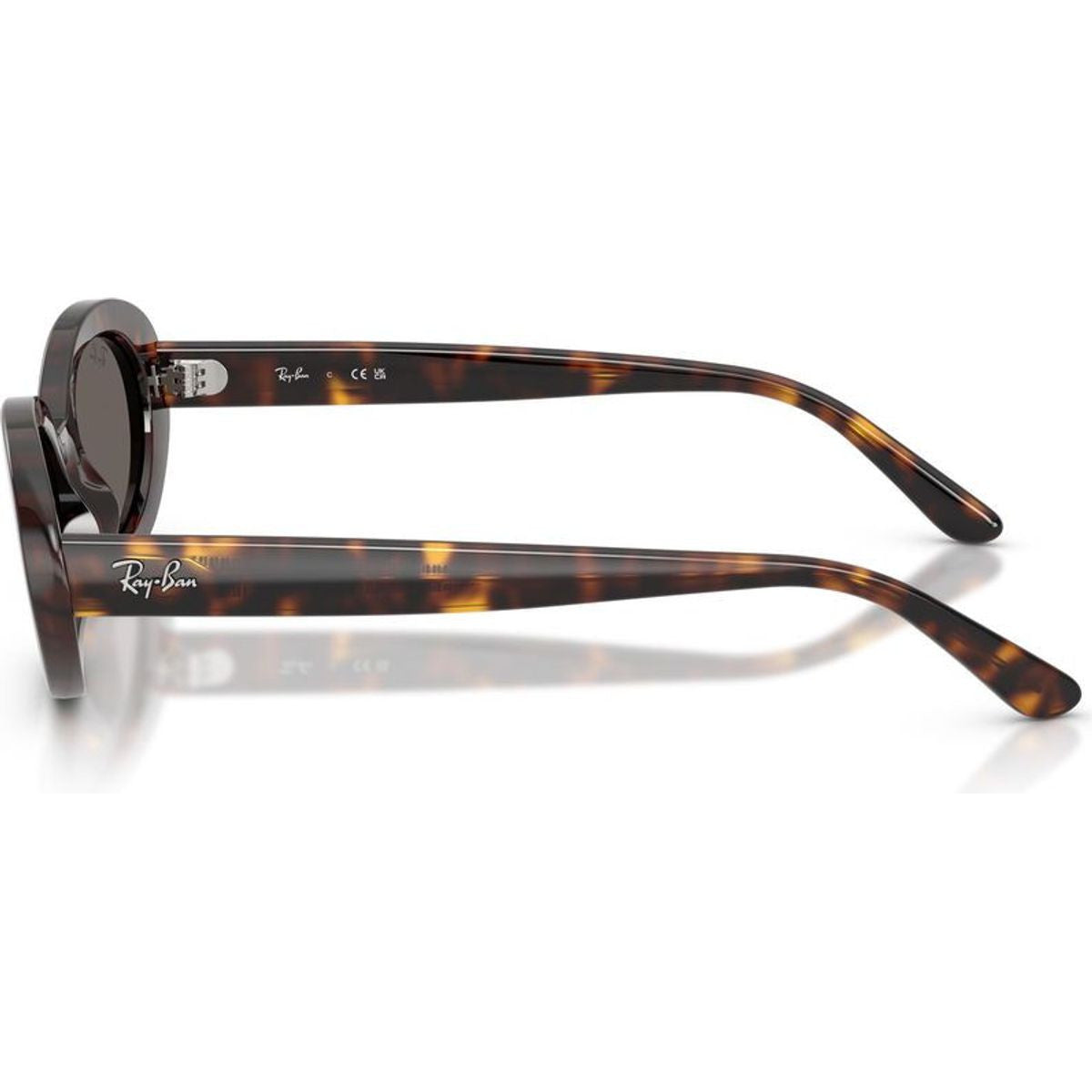 RB2223, Havana/Dark Grey Glass Lenses