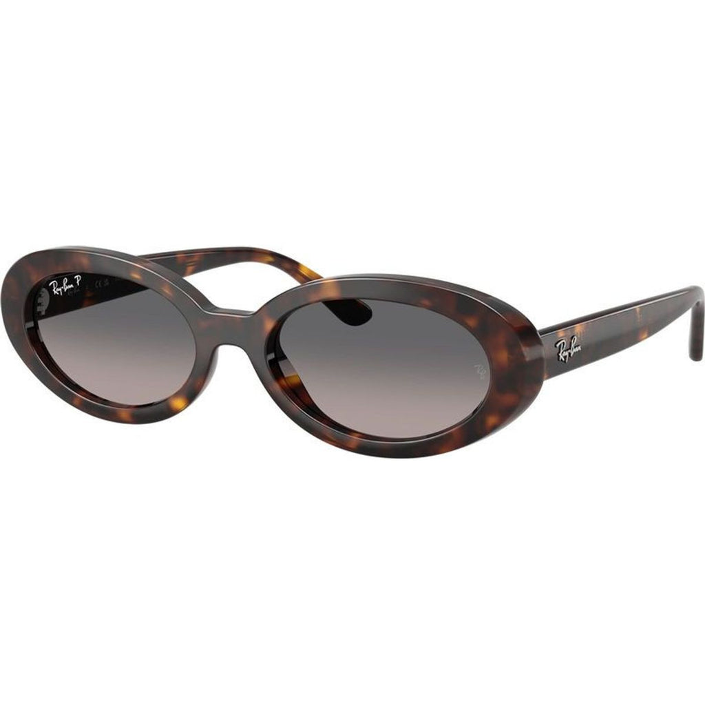 RB2223, Havana/Grey Gradient Polarised Glass Lenses