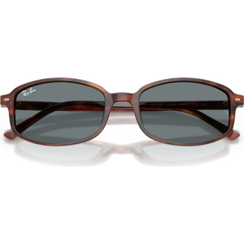 RB2232, Striped Havana/Blue Glass Lenses 54 Eye Size