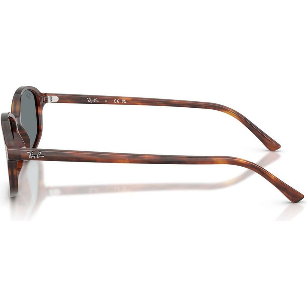 RB2232, Striped Havana/Blue Glass Lenses 54 Eye Size