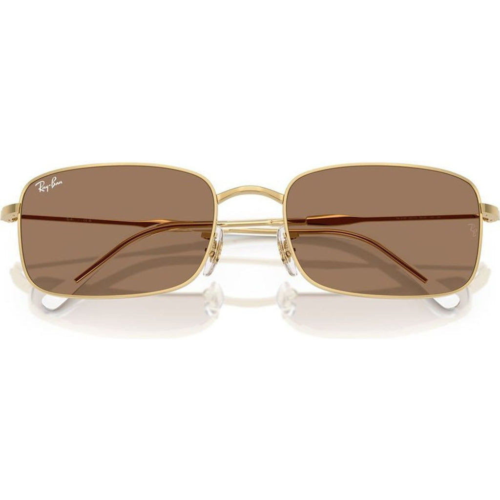 RB3746, Arista/Brown Glass Lenses 56 Eye Size
