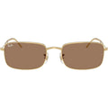 RB3746, Arista/Brown Glass Lenses 56 Eye Size