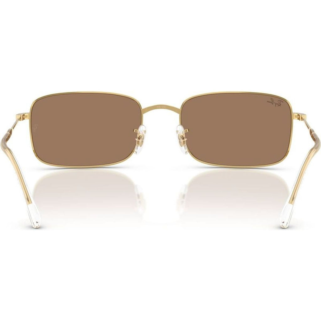 RB3746, Arista/Brown Glass Lenses 56 Eye Size