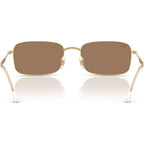 RB3746, Arista/Brown Glass Lenses 56 Eye Size