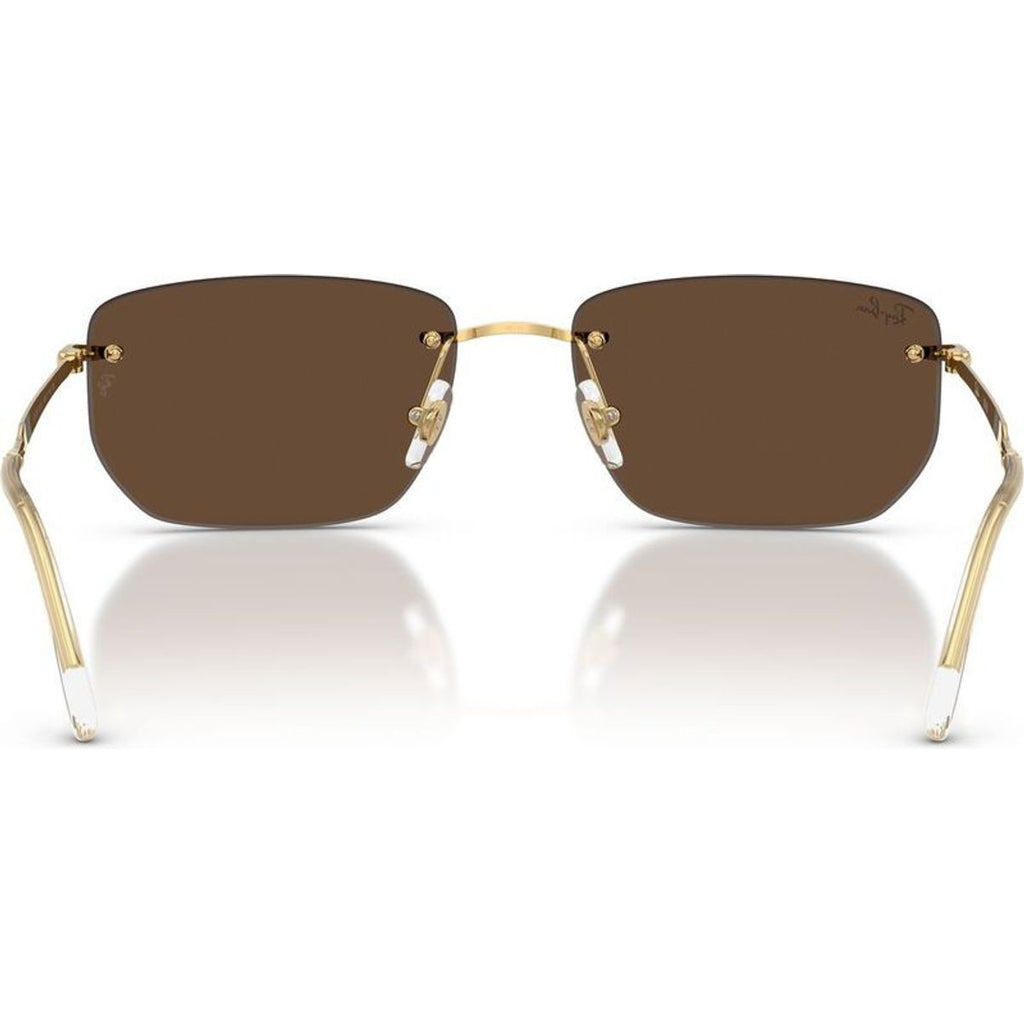 RB3768, Arista/Dark Brown Lenses