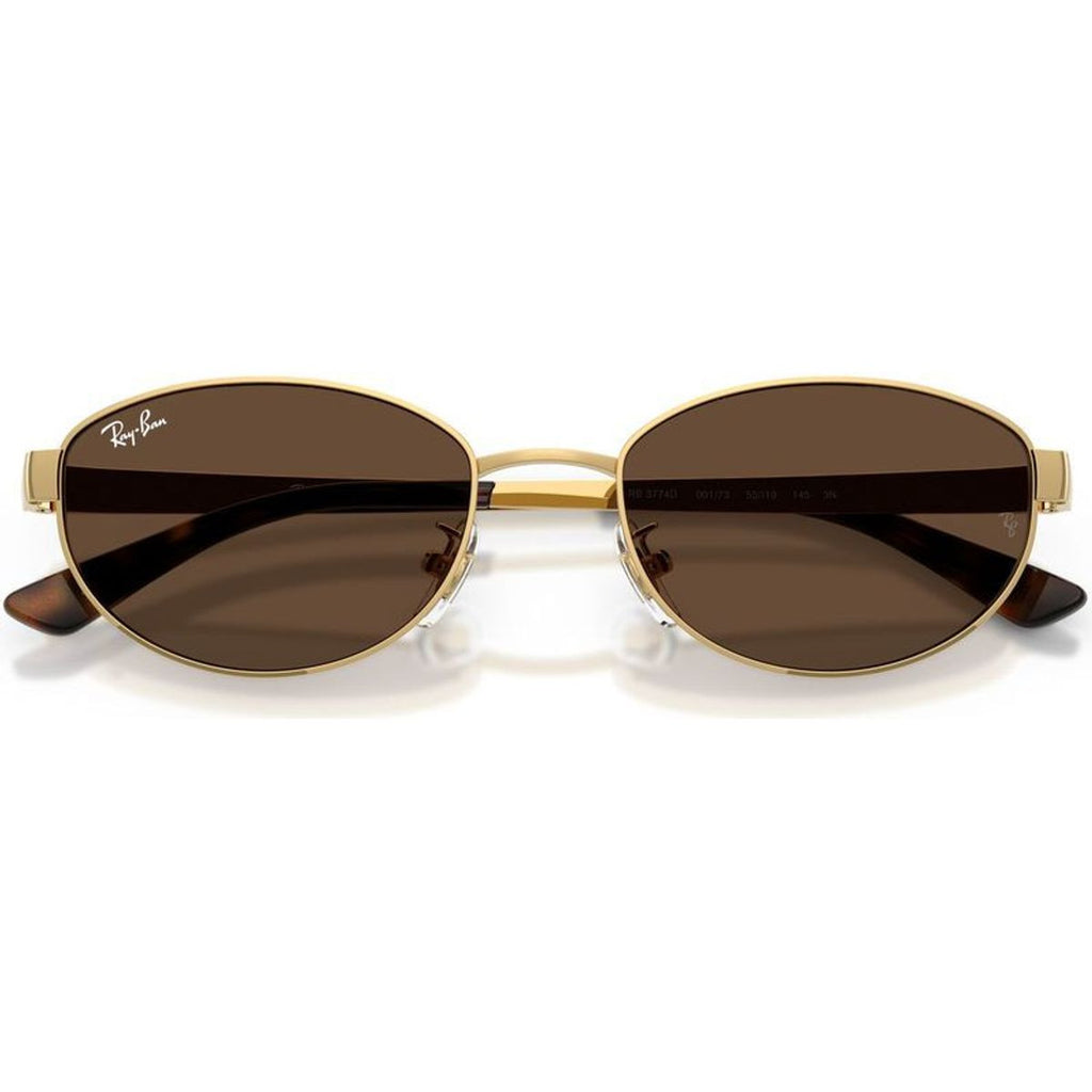 RB3774D, Arista/Dark Brown Lenses