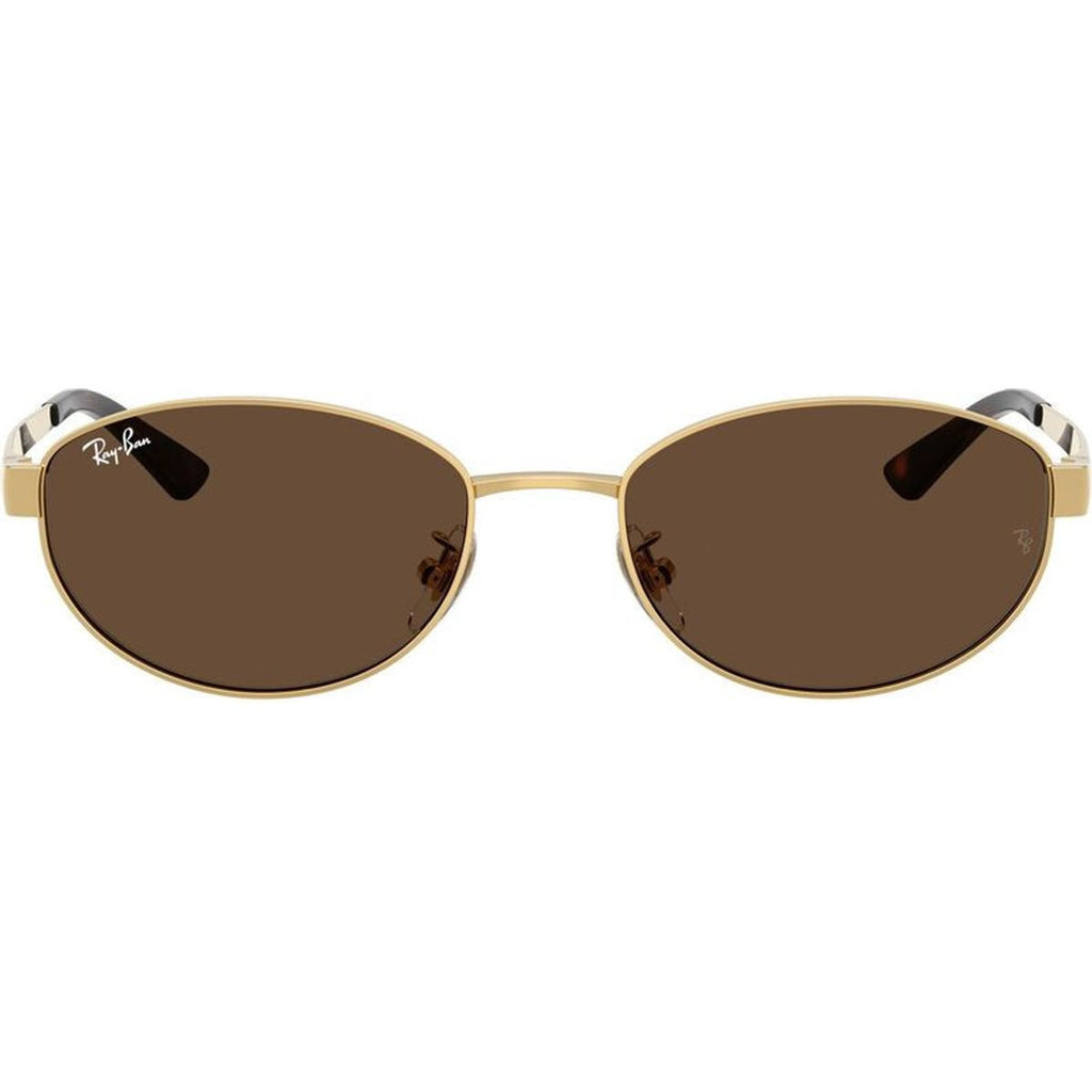 RB3774D, Arista/Dark Brown Lenses
