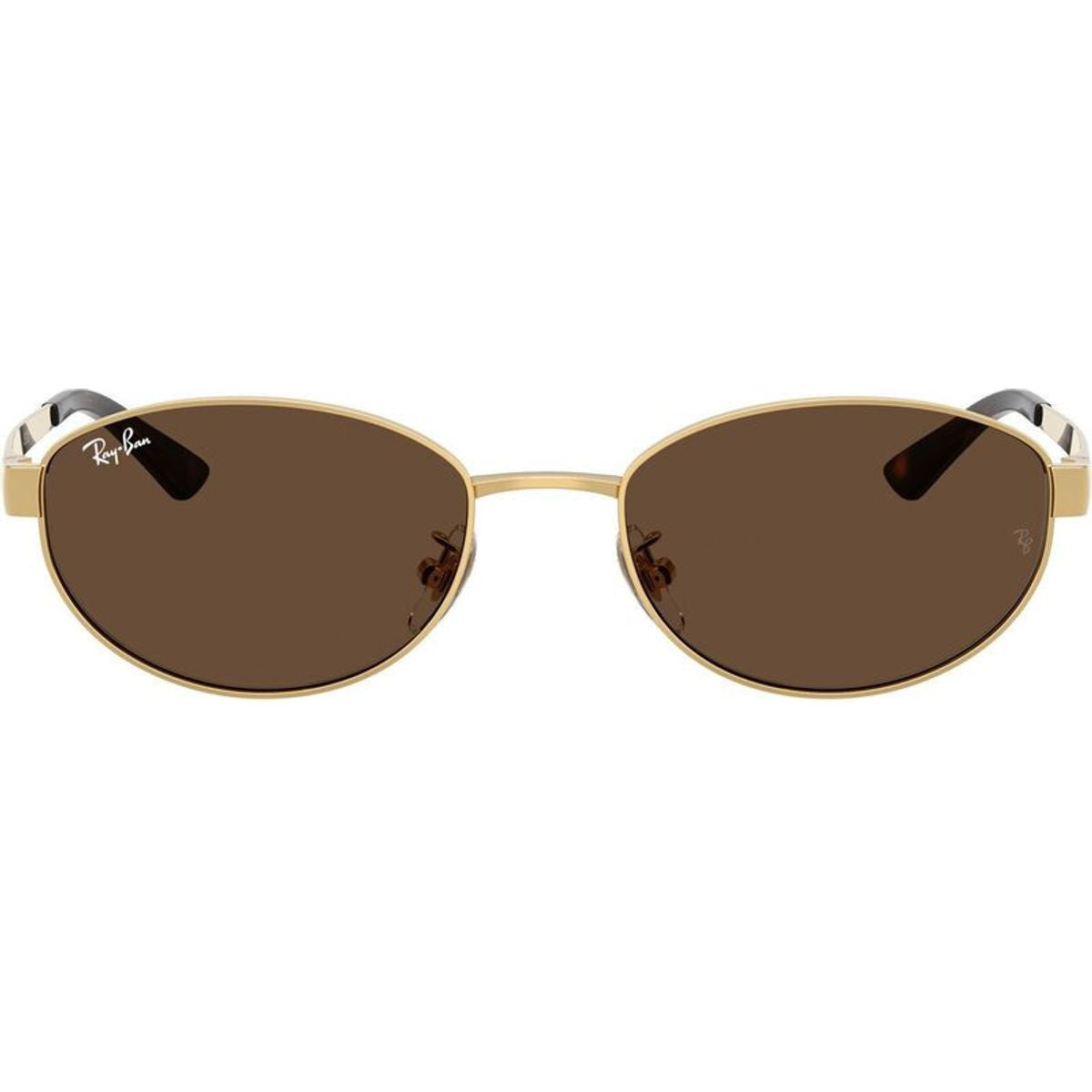 RB3774D, Arista/Dark Brown Lenses
