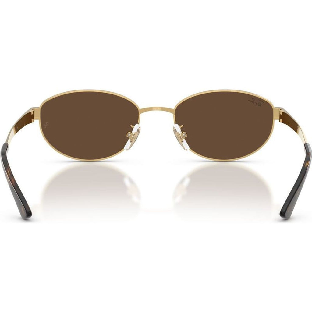 RB3774D, Arista/Dark Brown Lenses