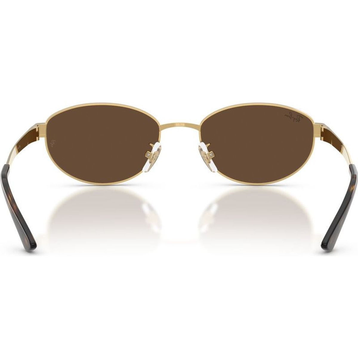 RB3774D, Arista/Dark Brown Lenses