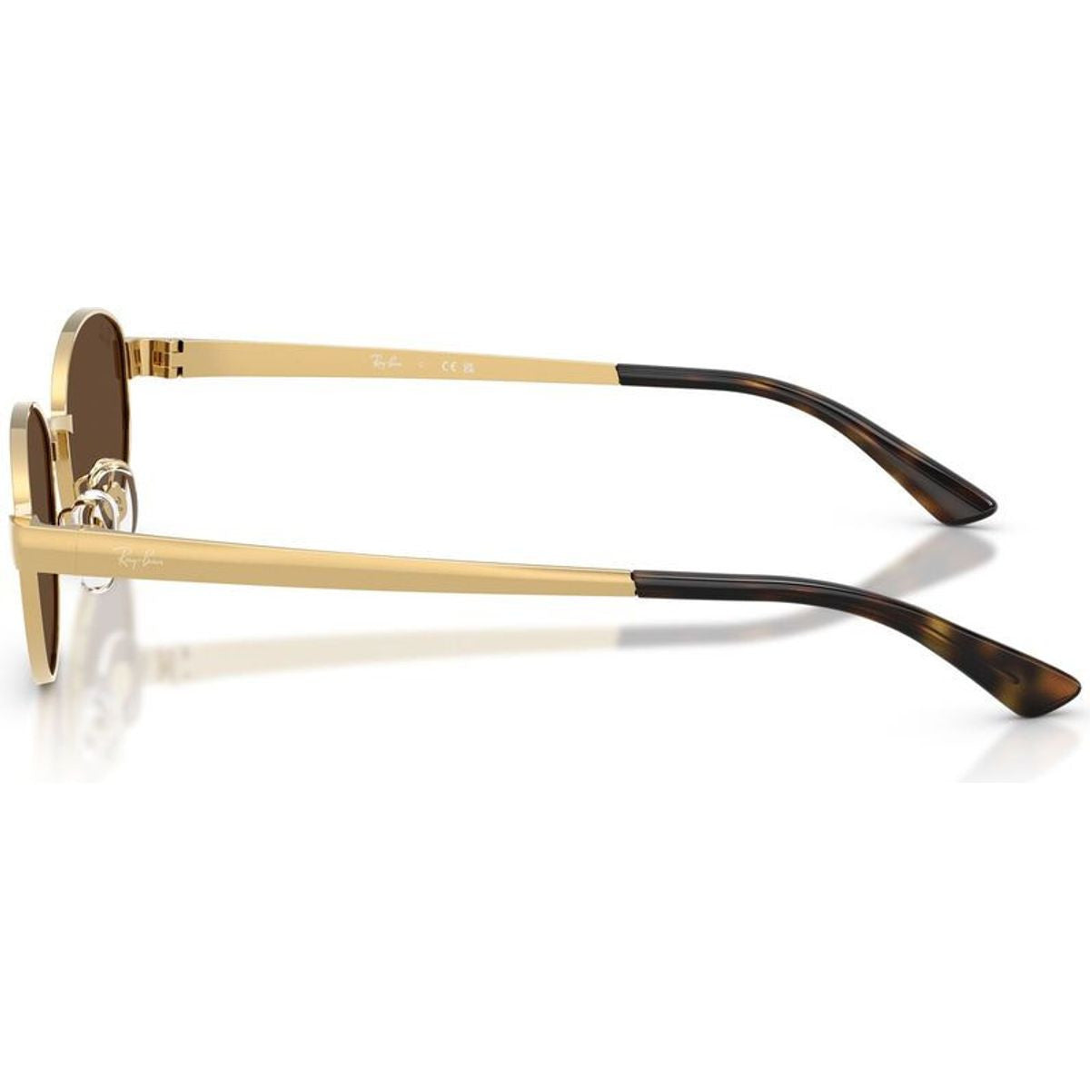 RB3774D, Arista/Dark Brown Lenses
