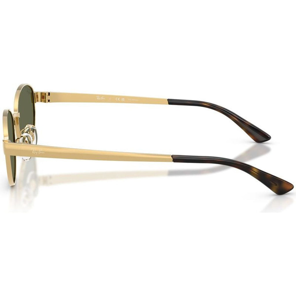 RB3774D, Arista/Dark Green Polarised Lenses