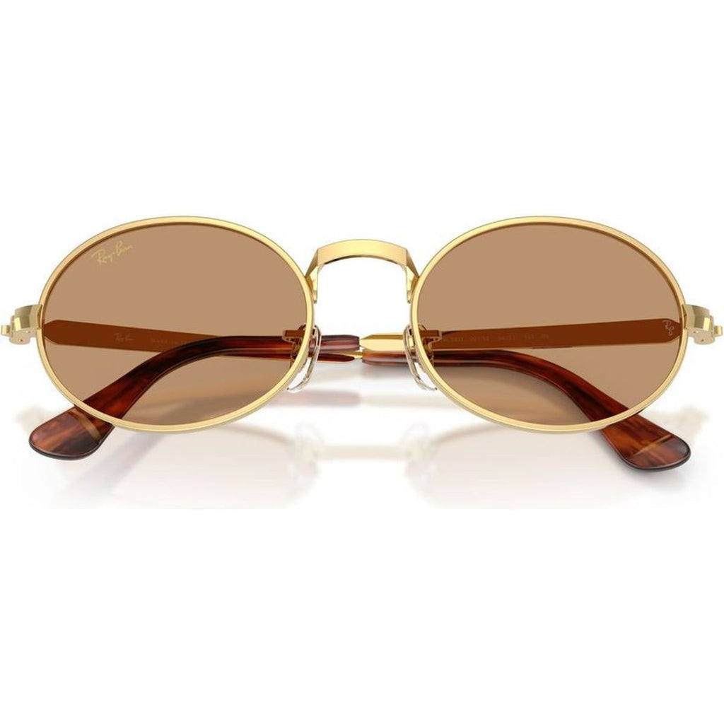 RB3931, Arista/Brown Glass Lenses