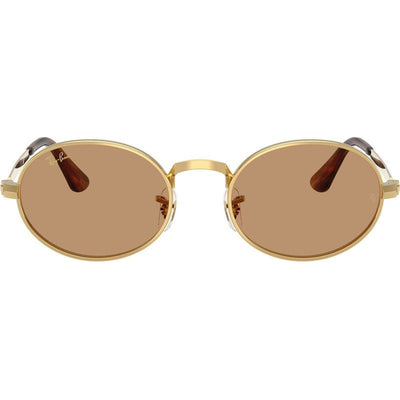 RB3931, Arista/Brown Glass Lenses