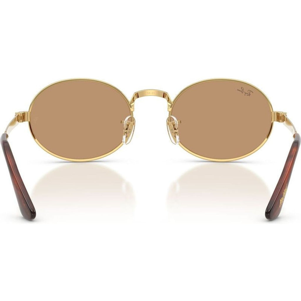 RB3931, Arista/Brown Glass Lenses
