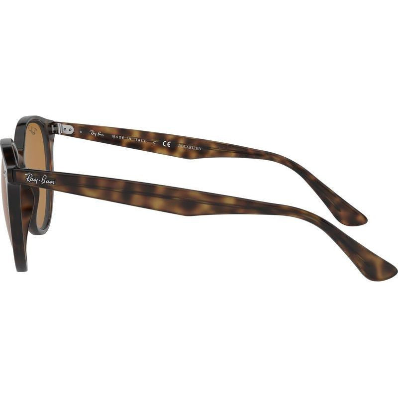 RB4305F, Light Havana/Brown Polarised Lenses