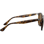 RB4306, Light Havana/Brown Polarised Lenses